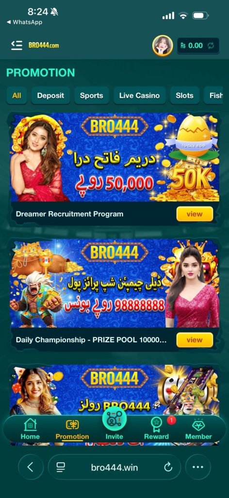 BRO444 Game