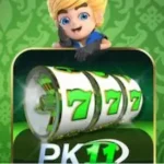 PK11 Game