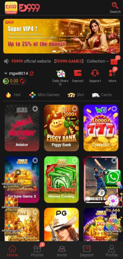 FD999 Game